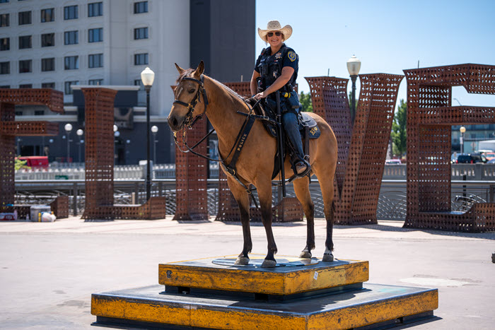 officer straw hat horse.jpg